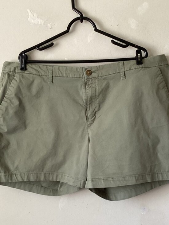Pants - Chino Shorts in Olive